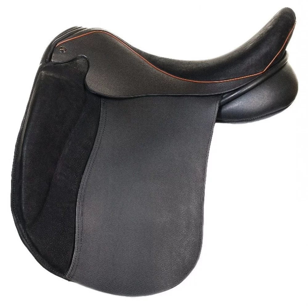 Lynx Pro Dressage