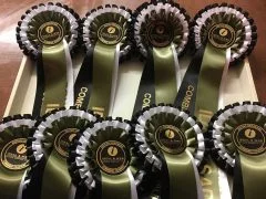 Combined-Training-rosettes_ideal